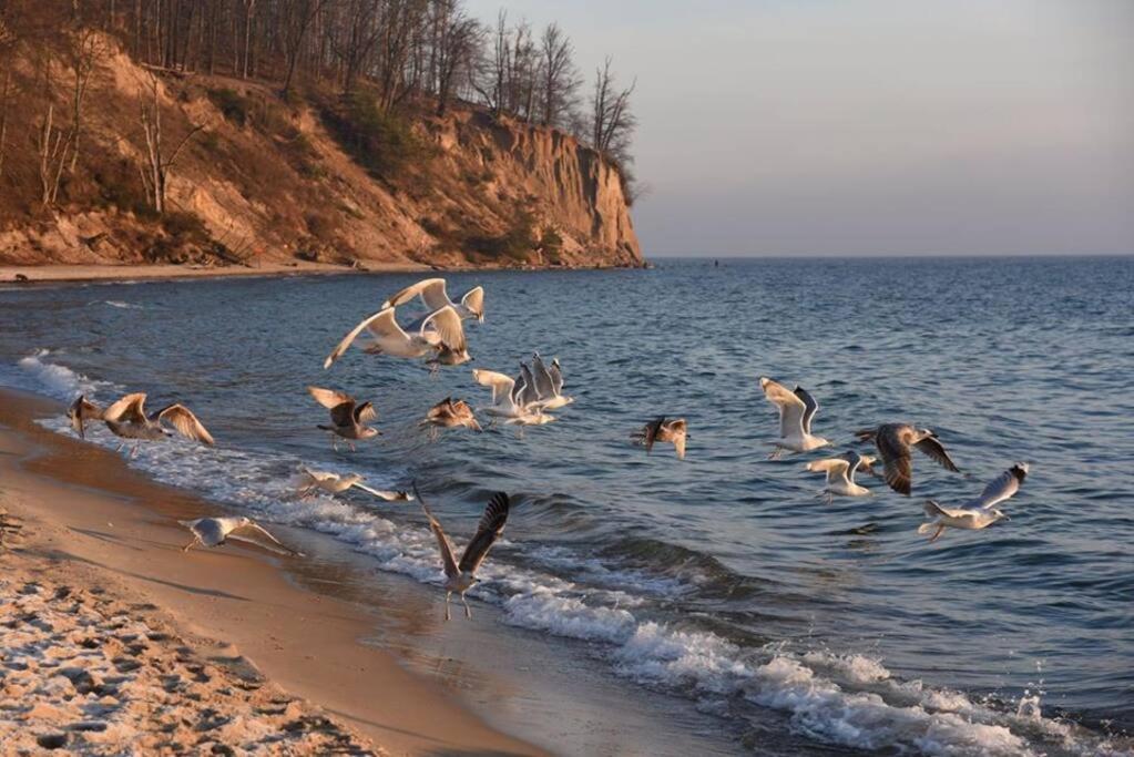 Chata rybacka w Orłowie / Apartament Gdynia Zewnętrze zdjęcie
